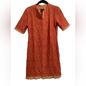 Gabby Skye Orange Lace Overlay Sheath Shirt Dress with Mandarin Collar